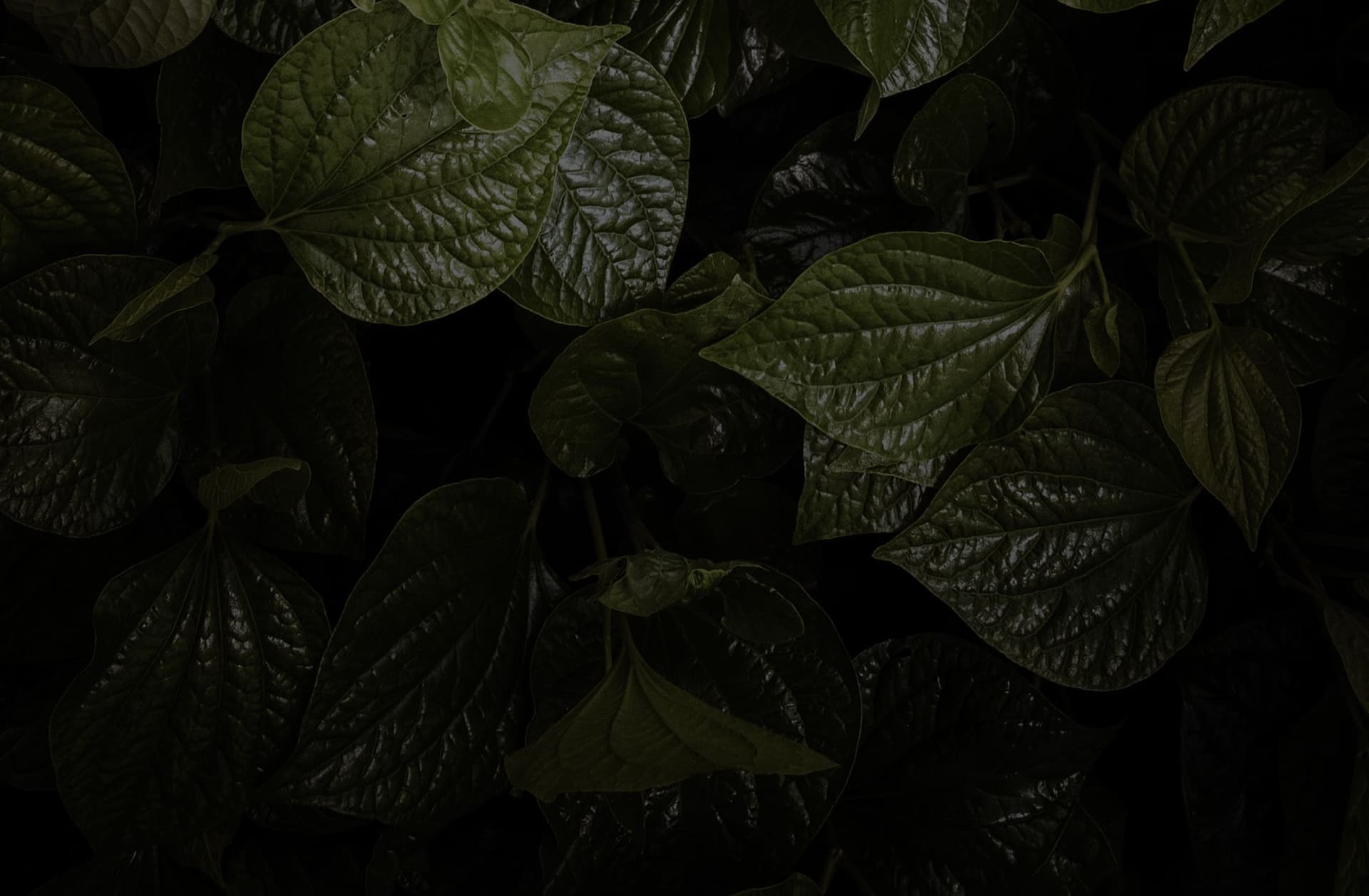 Growth driven marketing for emerging B2B tech products