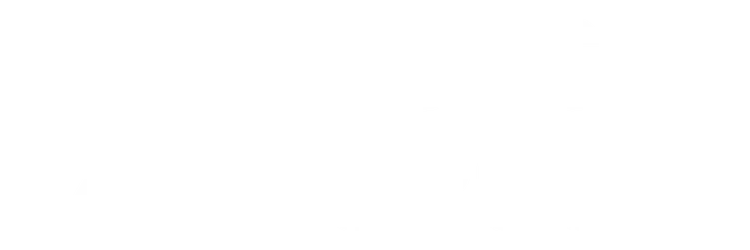 LOTS