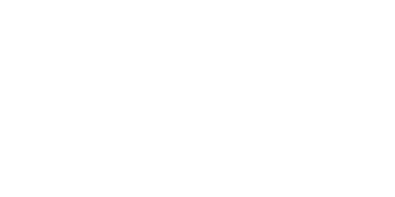 Netsuite