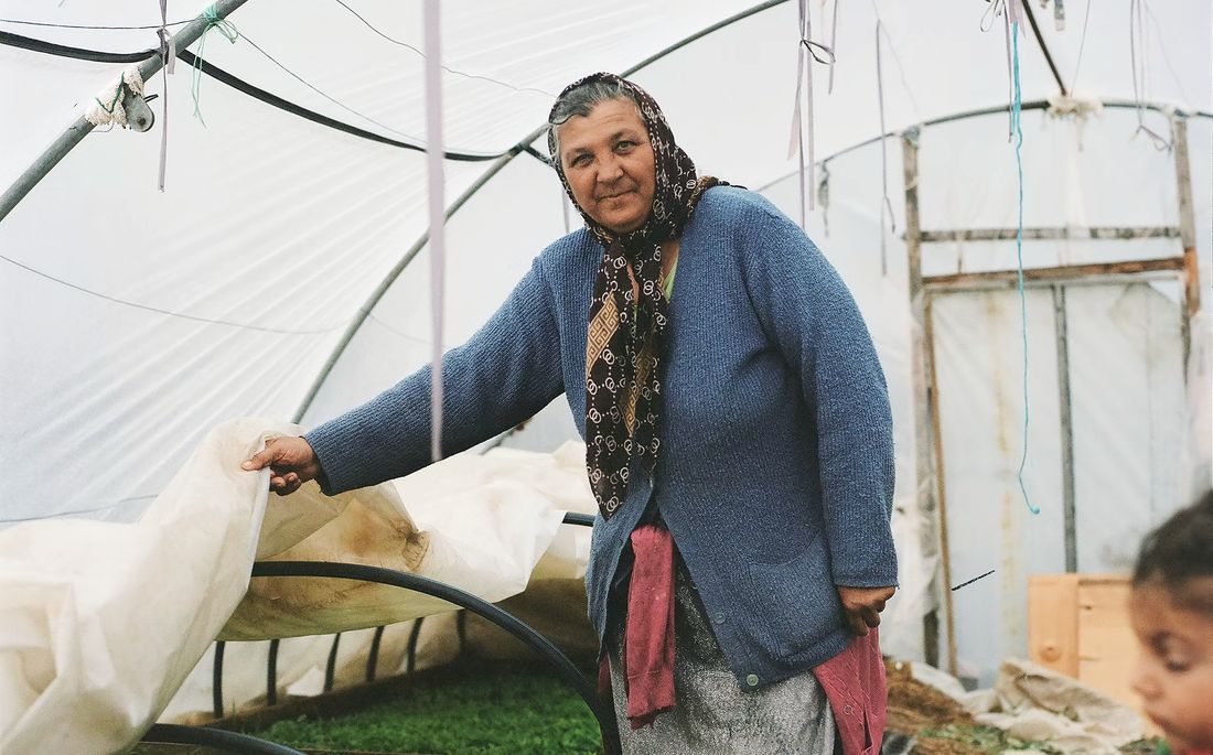 A woman lifting a polytunnel cover over seedling beds at a NetWorks Romania growing site, a child beside her