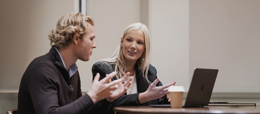 Two colleagues in a meeting